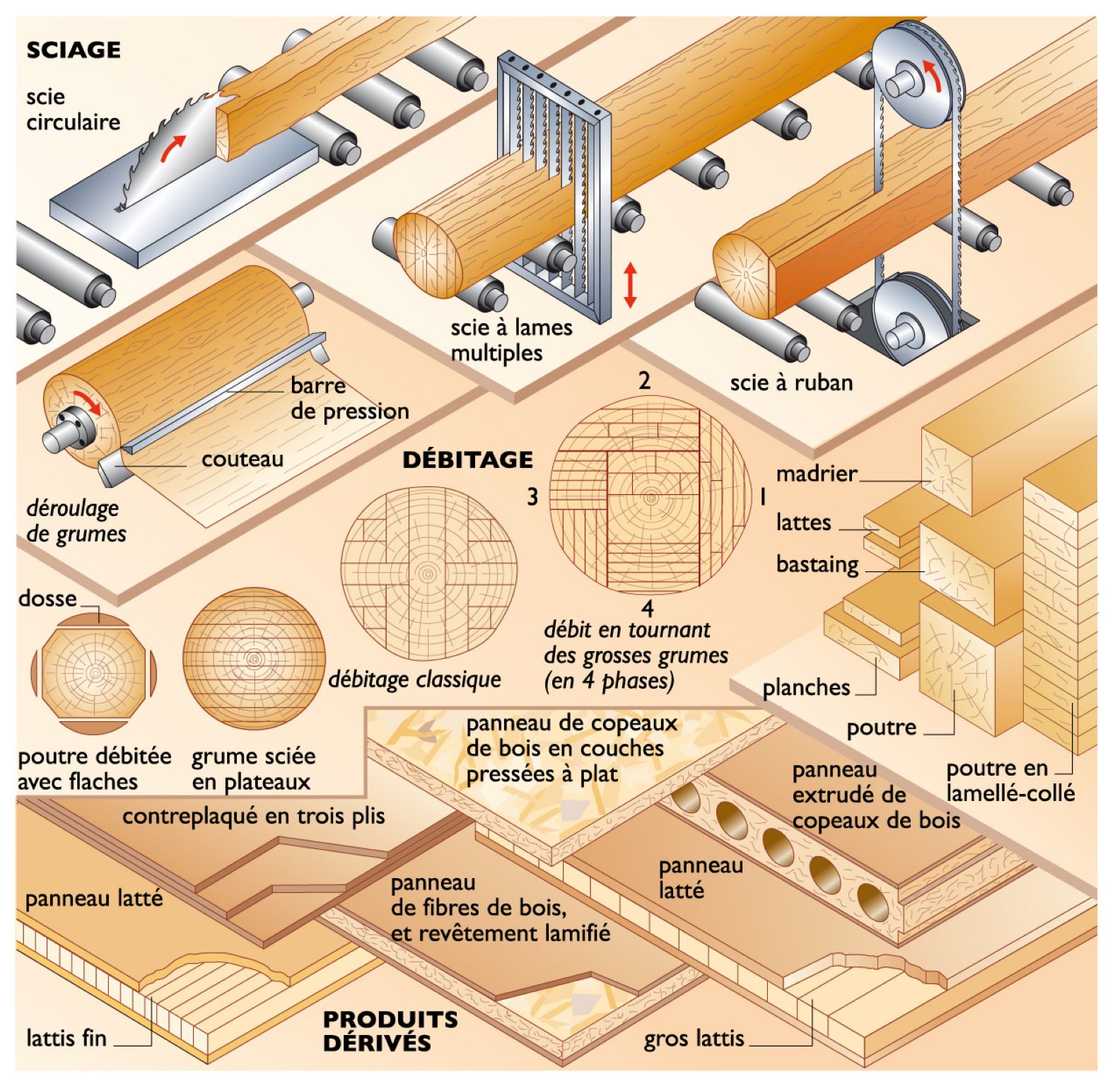 principaux modes de transformation du bois et produits obtenus