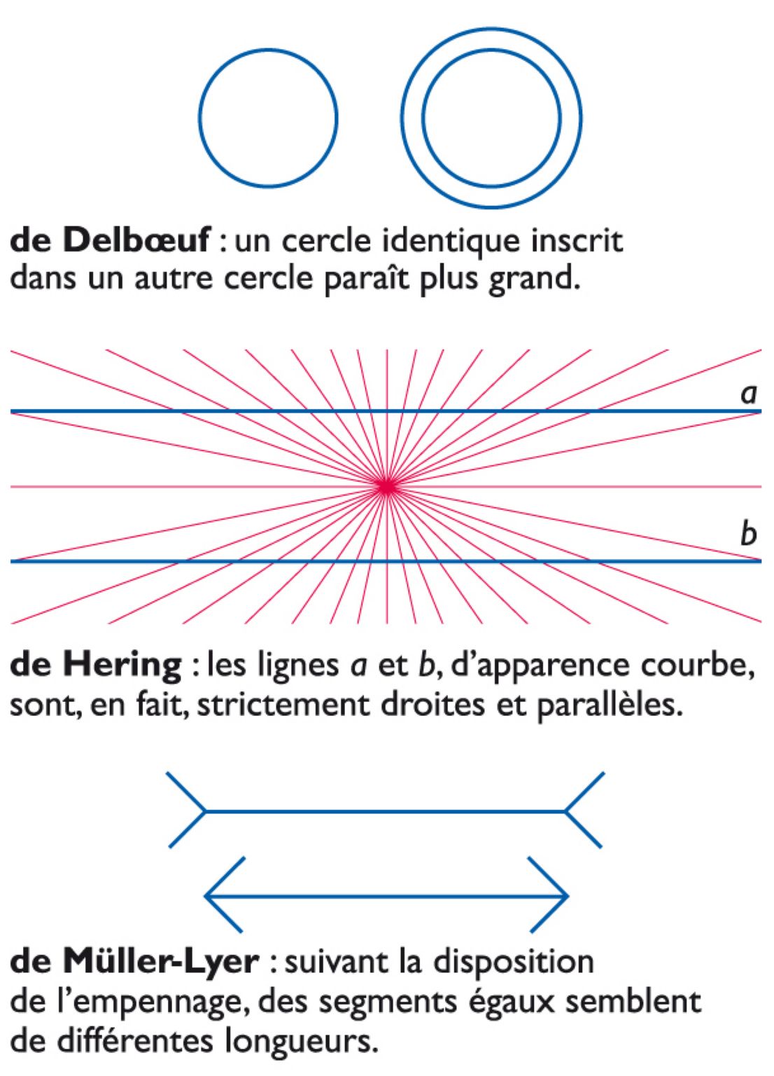 des illusions d’optique