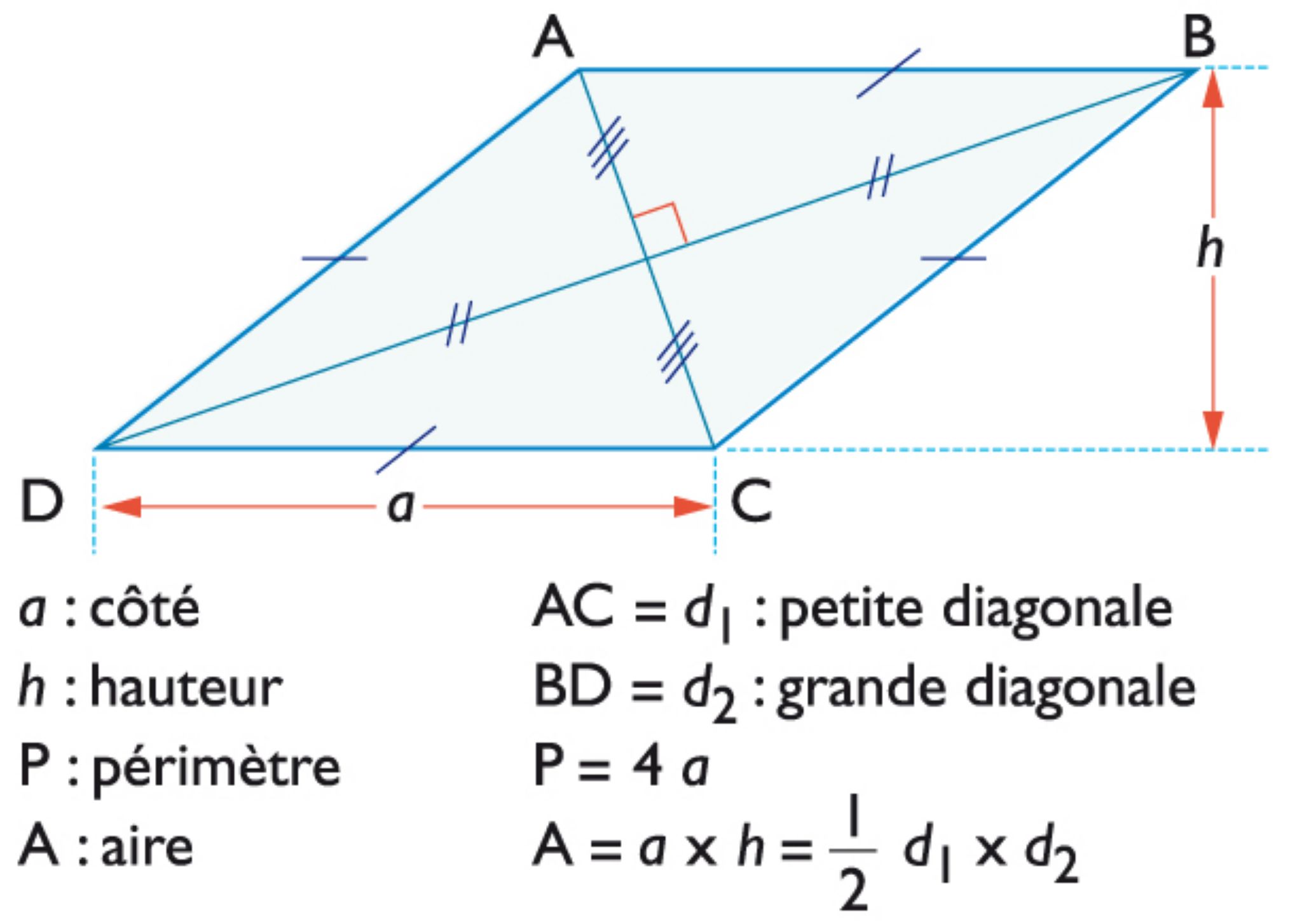 le losange