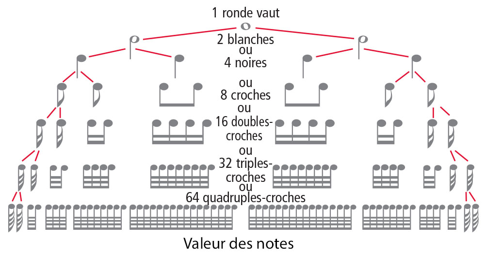 les notes de la gamme, les figures de notes et leurs valeurs