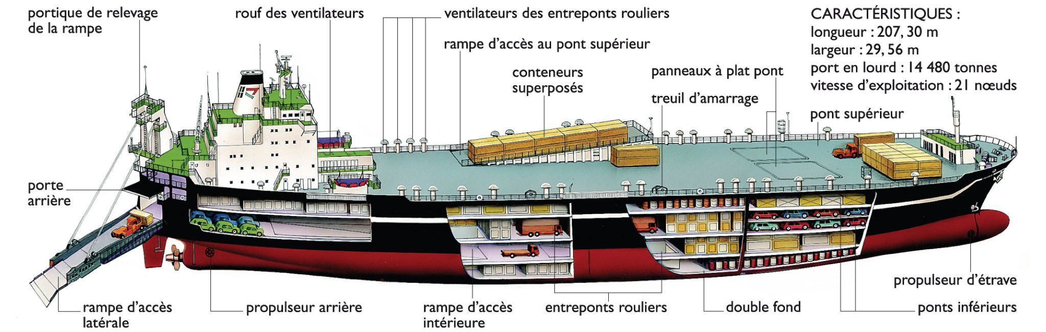 coupe d’un cargo roulier porte-conteneurs