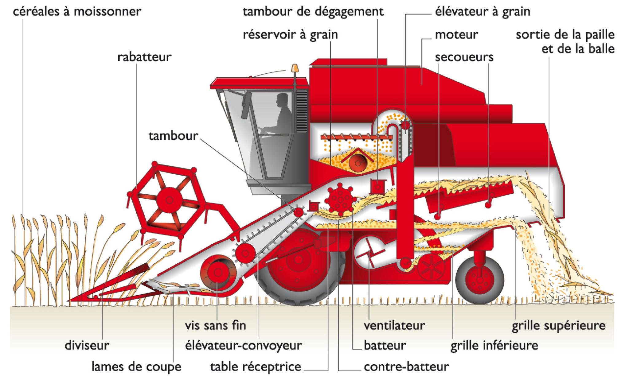 fonctionnement d’une moissonneuse-batteuse