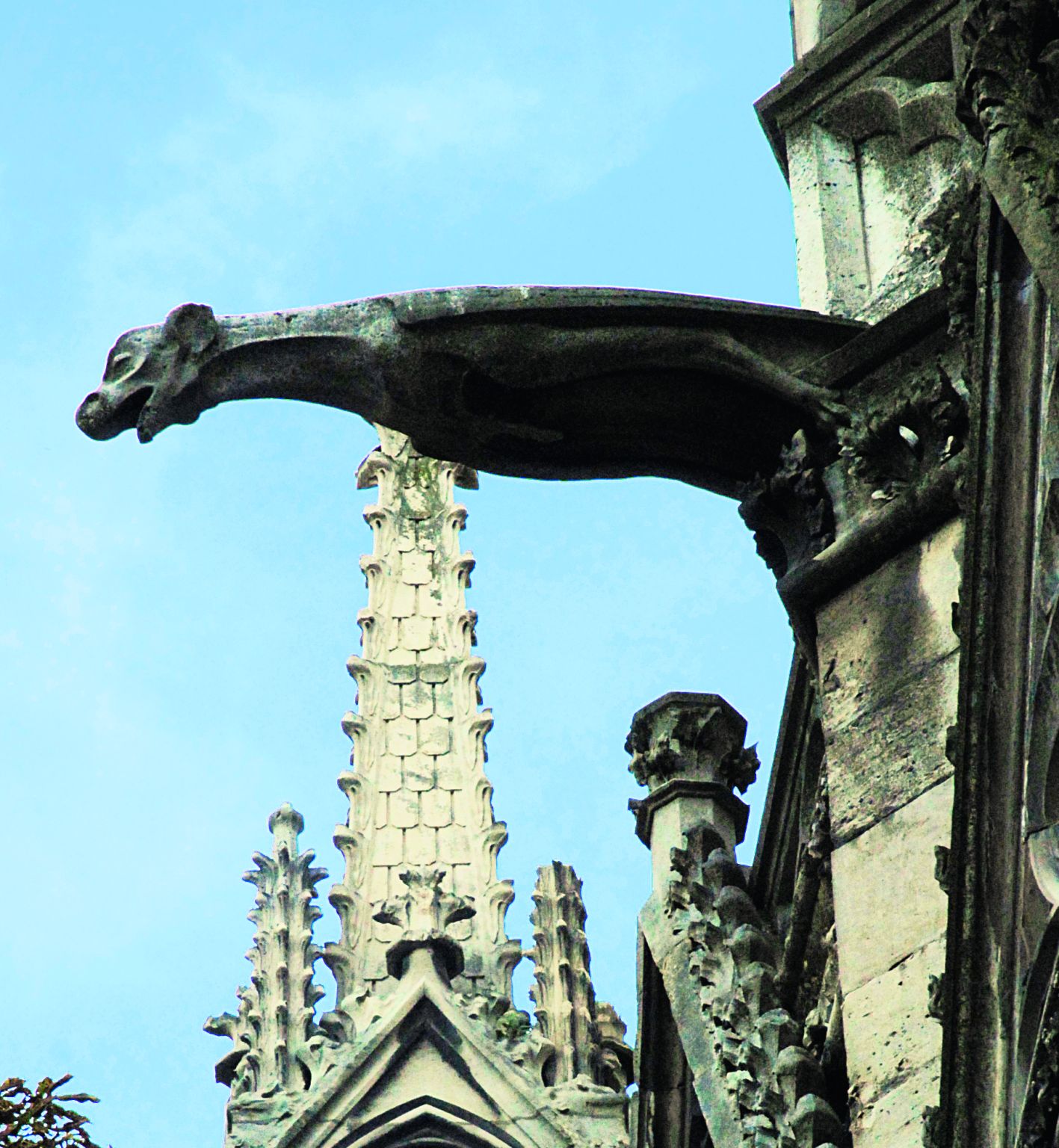 une gargouille (cathédrale Notre-Dame de Paris)