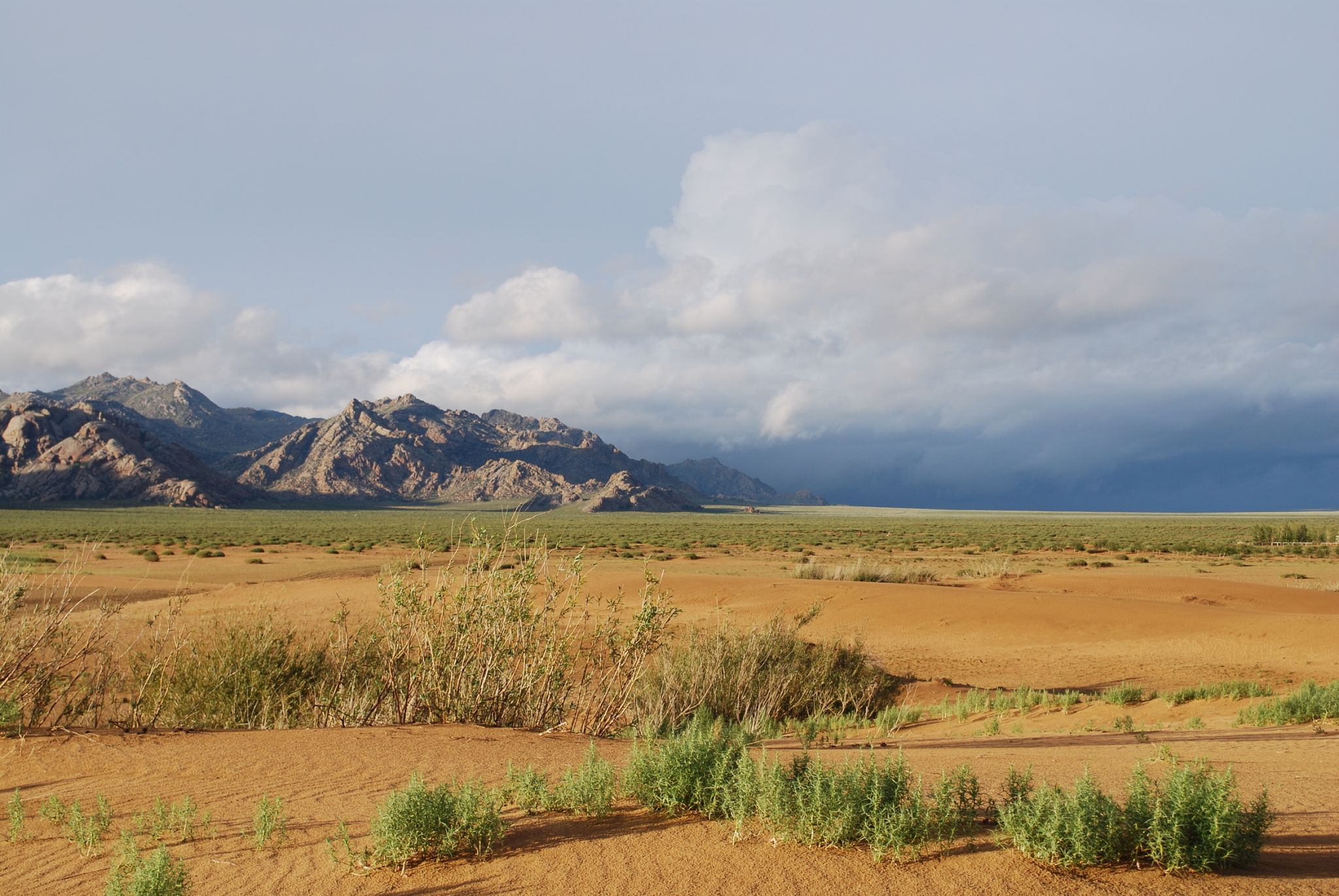 une steppe (Mongolie)