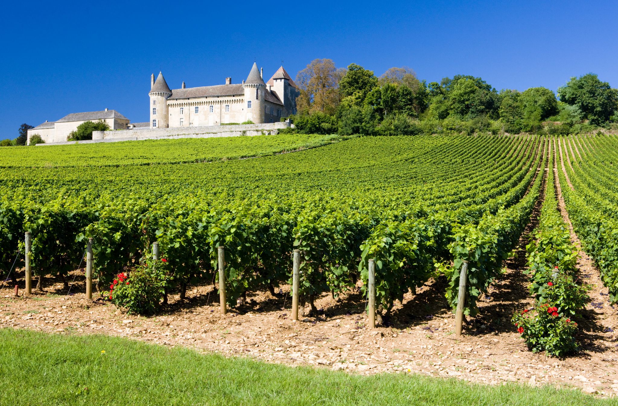 le château de Rully et son vignoble (Bourgogne)